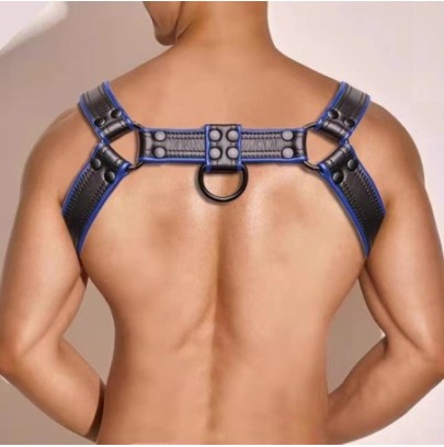 Harnais Simili Hashon Noir-Bleu