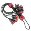 Martinet Eight Roses 55cm