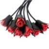 Martinet Eight Roses 55cm