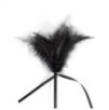 Cravache et Plumeau Secret Touch 50cm Noir
