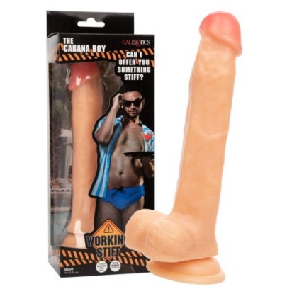 Gode The Cabana Boy 17.5 x 4cm sur fun et plaisirs - vente de sextoys pas cher