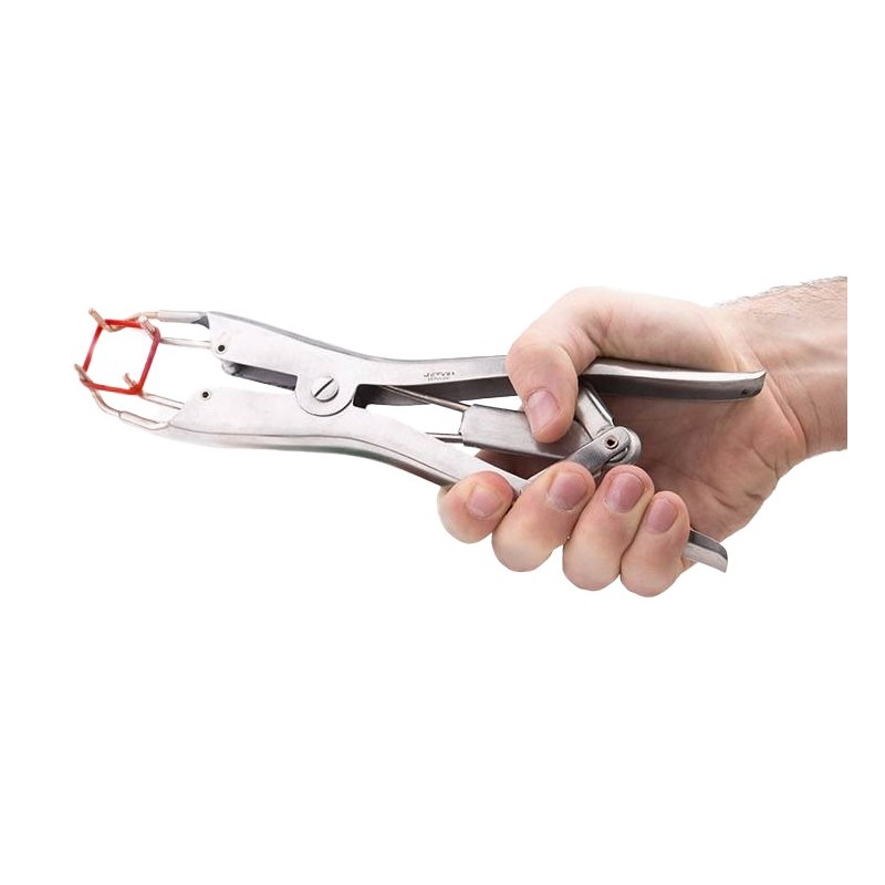 Pince pour Élastiques de Torture Elastratus Pince pour Élastiques de Torture Elastratus