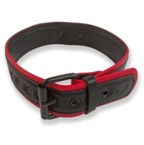 Collier Puppy Collar Noir-Rouge