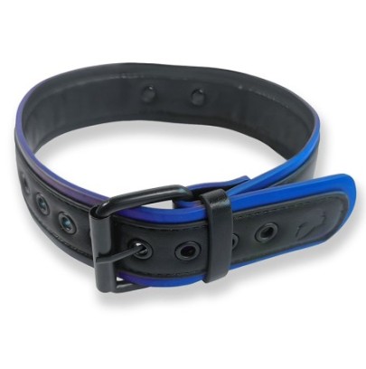 Collier Puppy Collar Noir-Bleu