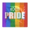 Préservatifs Pride x144