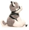Chien en Peluche Max the fetish pup 23cm