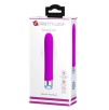 Vibromasseur Reginald 16.5 x 2.7 cm - Violet