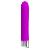 Vibromasseur Reginald 16.5 x 2.7 cm - Violet