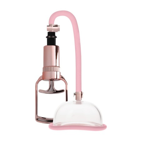 Pompe à vagin - Rose Gold- Développeurs Clitoris en stock sur Fun et plaisirs